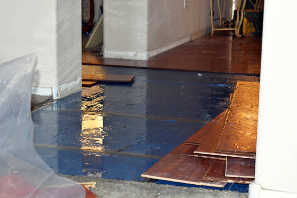 Professional Flood Cleanup technician working in Banks, ID
